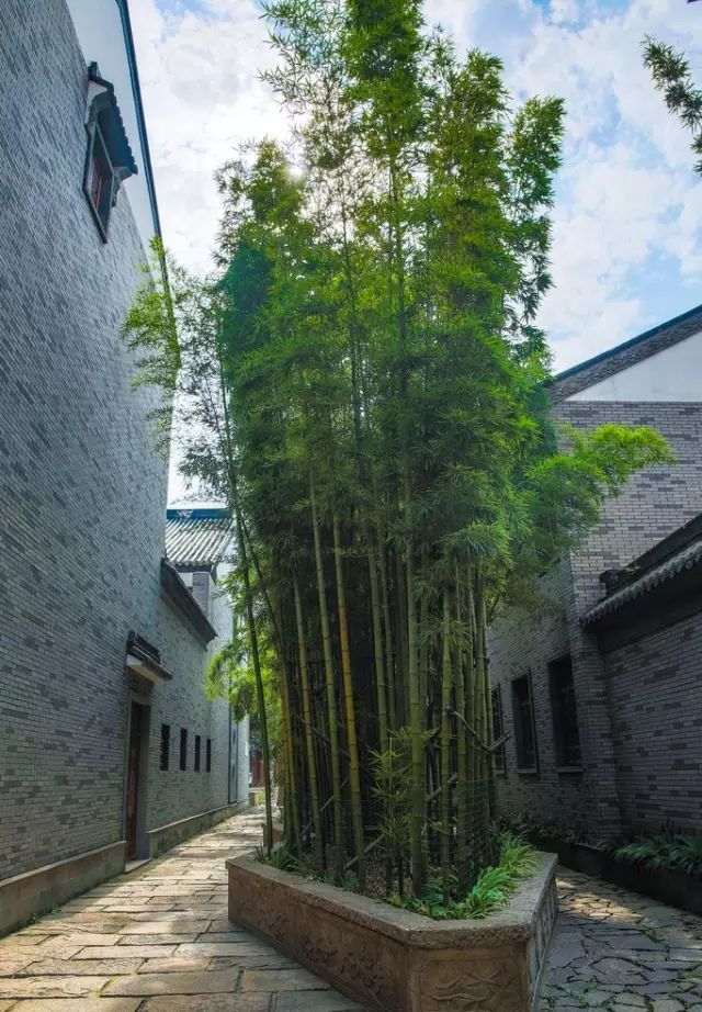 园林风水玄学：种这些植物在住宅旁，带来好寓意